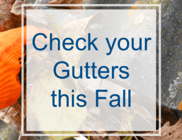 Check your Gutters this Fall