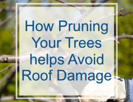 How Pruning your Trees Helps Avoid Roof Replacements